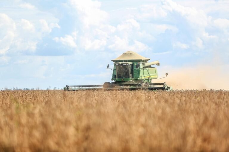 boosting growth through efficiency