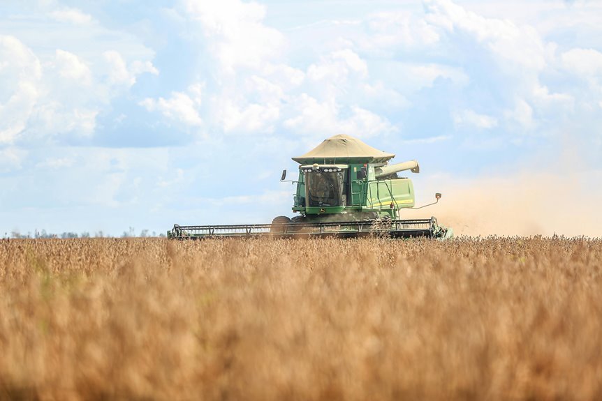 boosting growth through efficiency
